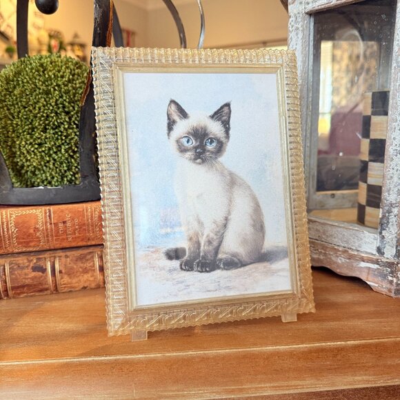 Vintage Other - 1940's Lucite 5X7 frame with Siamese cat